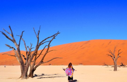 Deadvlei Sossusvlei Namibia