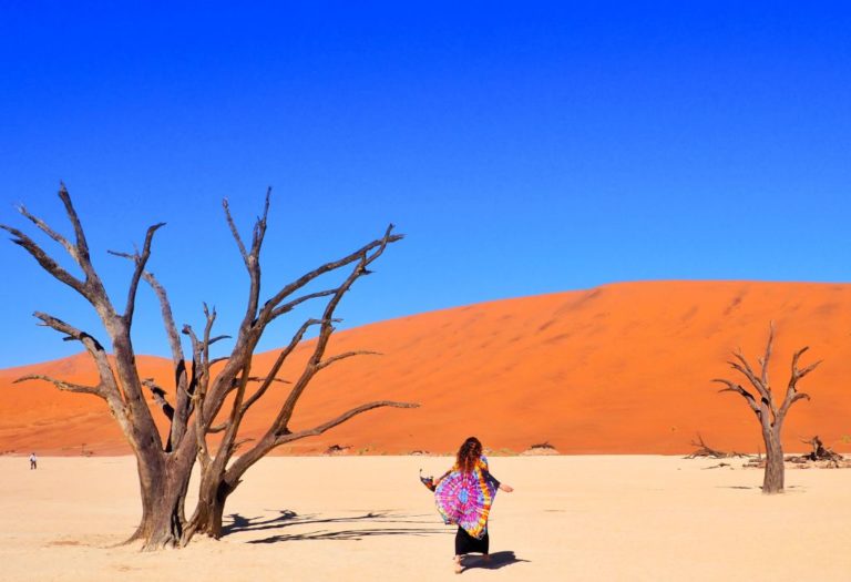 Deadvlei Sossusvlei Namibia