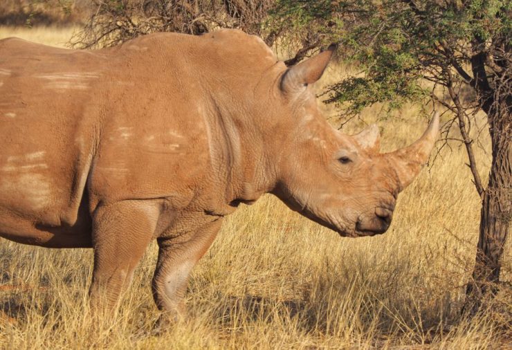 An Epic Namibia Itinerary (Plus Map, Tips & Best Places to Visit)