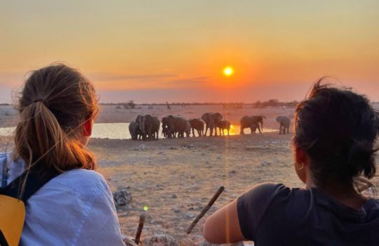 Okaukuejo Waterhole Etosha Namibia