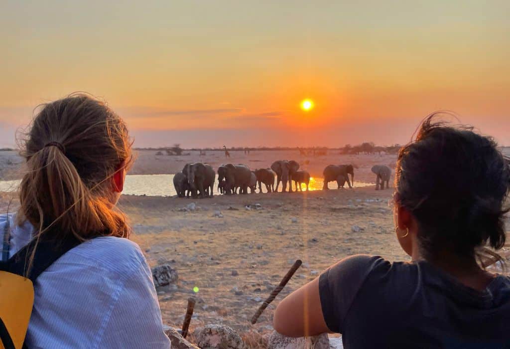 Okaukuejo Waterhole Etosha Namibia