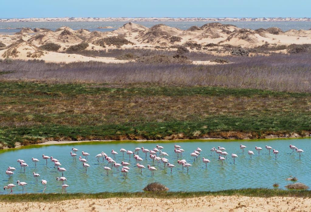 Sandwich Harbour Namibia