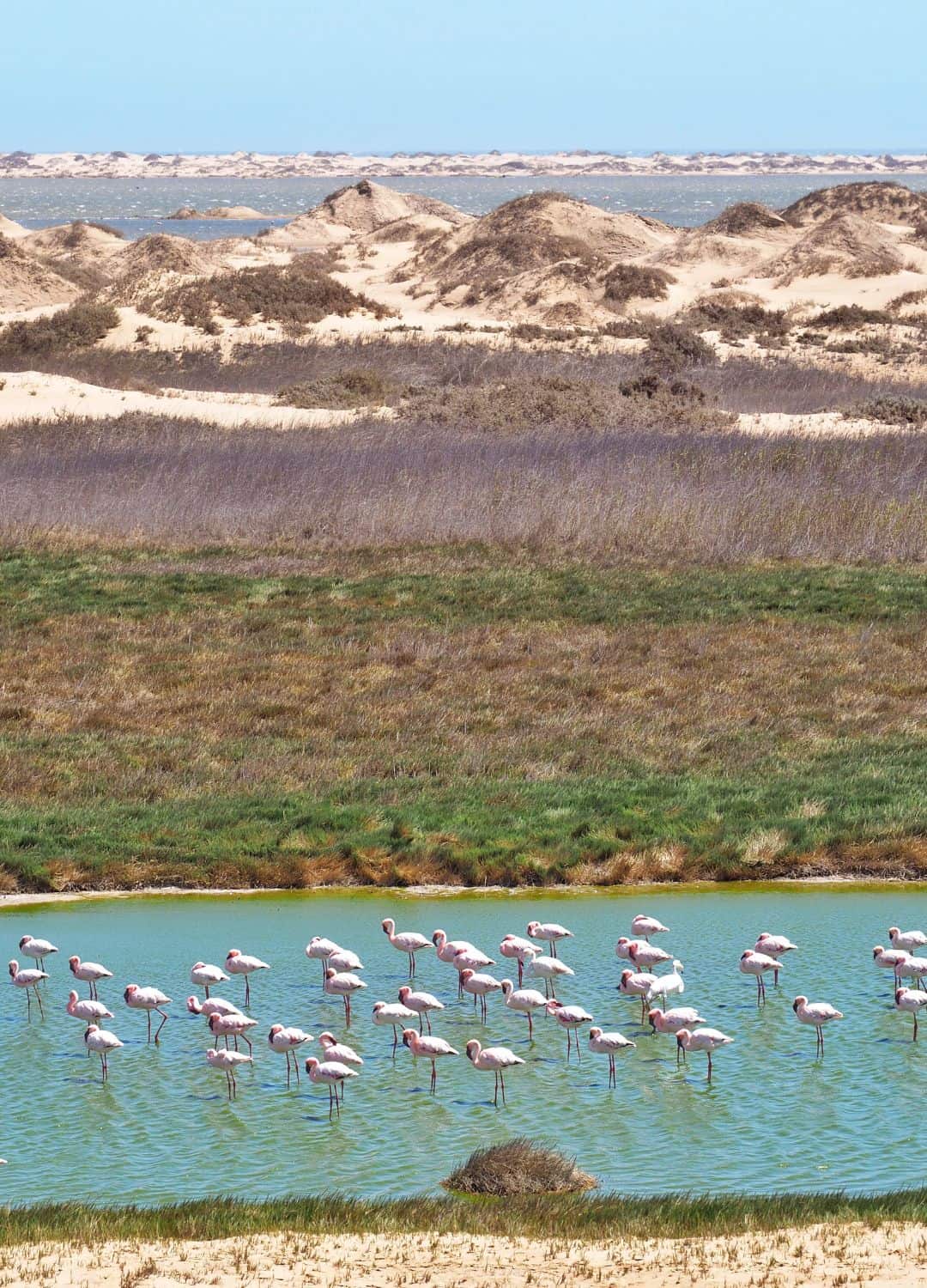 Sandwich Harbour, Namibia