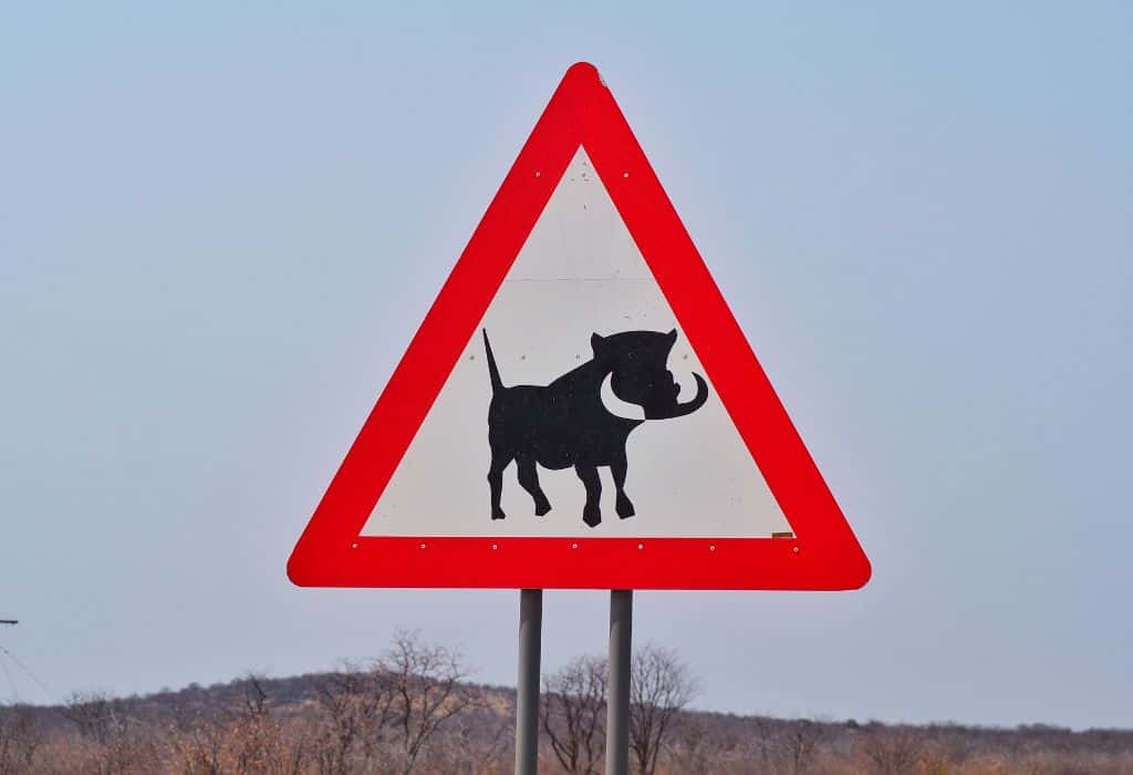 Warthog Road Sign, Namibia