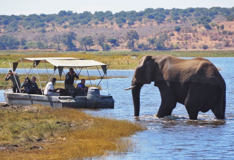 Where to Stay in Chobe National Park, Botswana