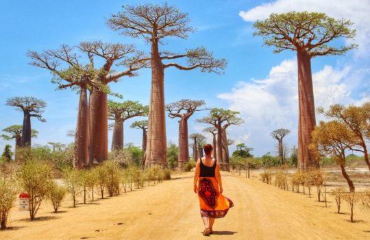 safari jumper outfit Avenue of the Baobabs, Madagascar