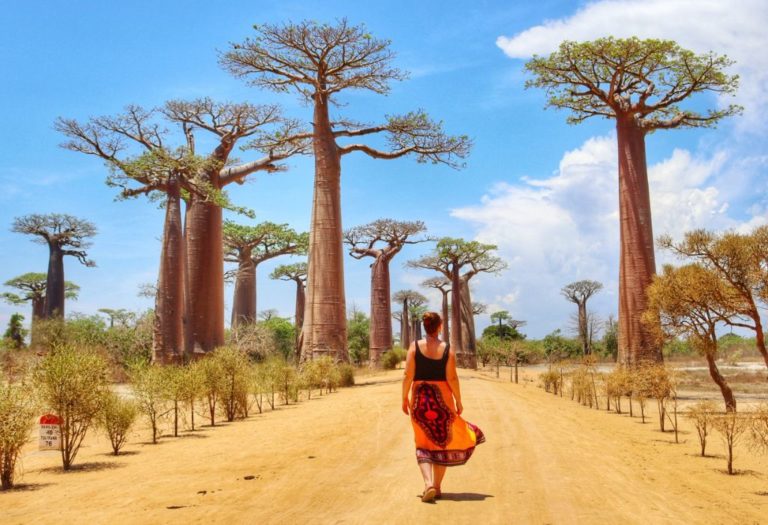 Things to Know Before You Visit Madagascar