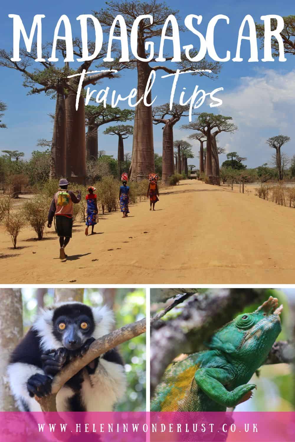 Western Madagascar Travel Guide, What to do in Western Madagascar