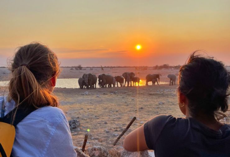 Okaukuejo Waterhole in Etosha National Park