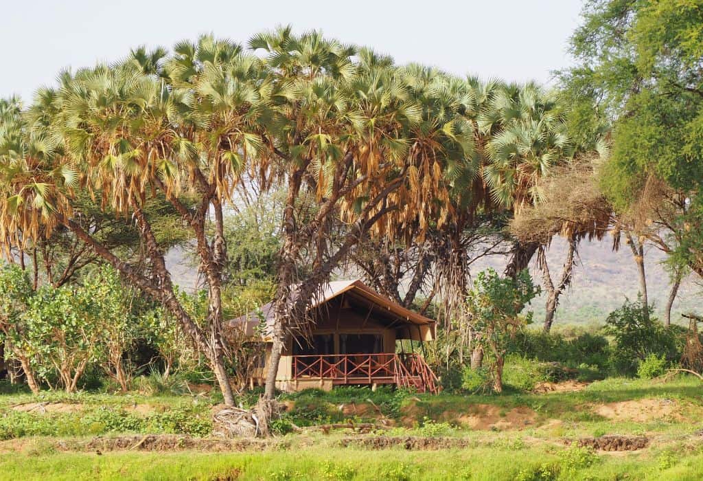 Elephant Bedroom Camp in Samburu National Reserve