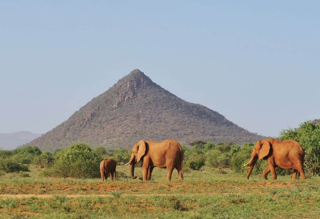 Samburu National Reserve