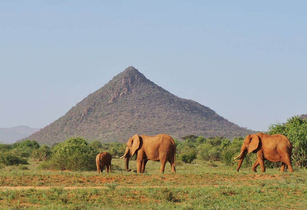 Samburu National Reserve 