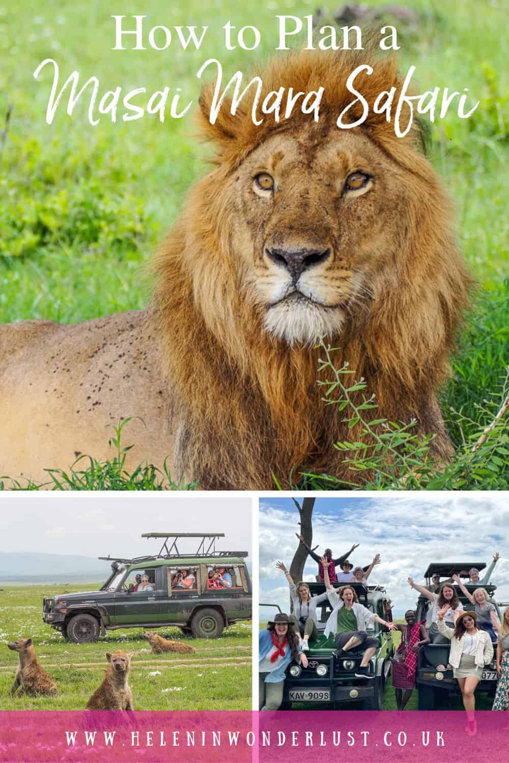 How to Go on a Safari in the Masai Mara National Reserve