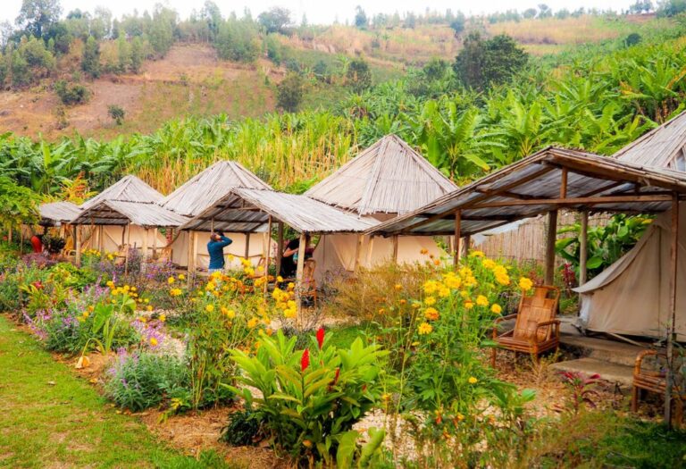 The Complete Guide to Gorilla Trekking in Uganda & Rwanda - Helen in ...