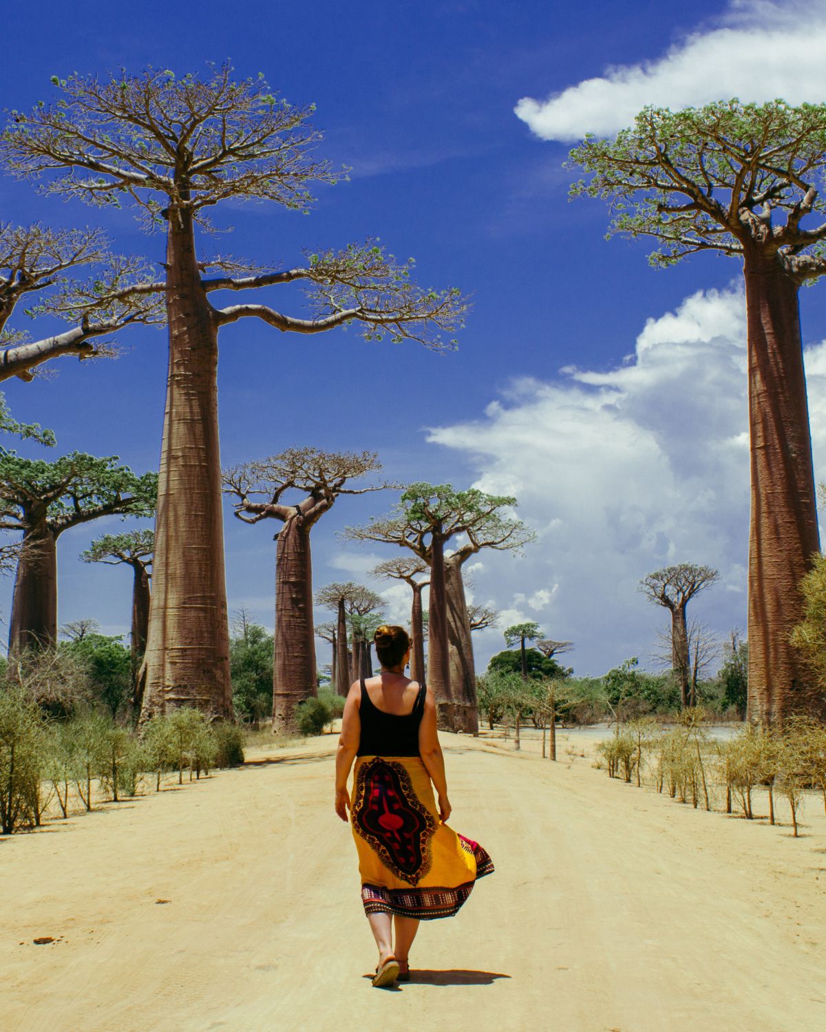 Avenue of the Baobabs, Madagascar