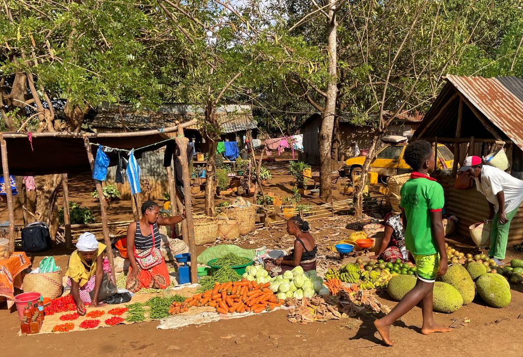 Market Day in Madagascar