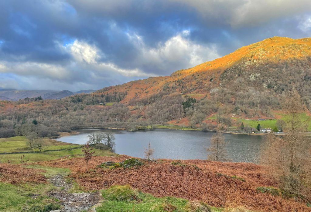 View from Loughrigg Terrace