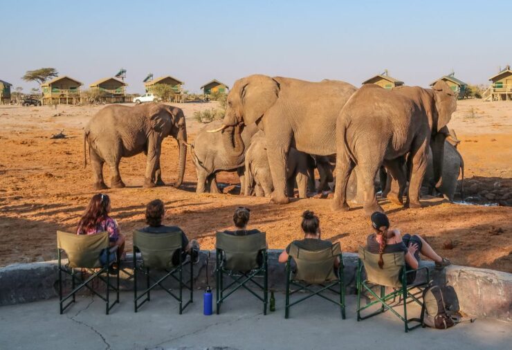 Elephant Sands Botswana