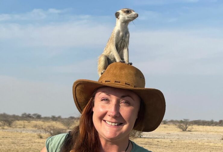 Meerkats Botswana