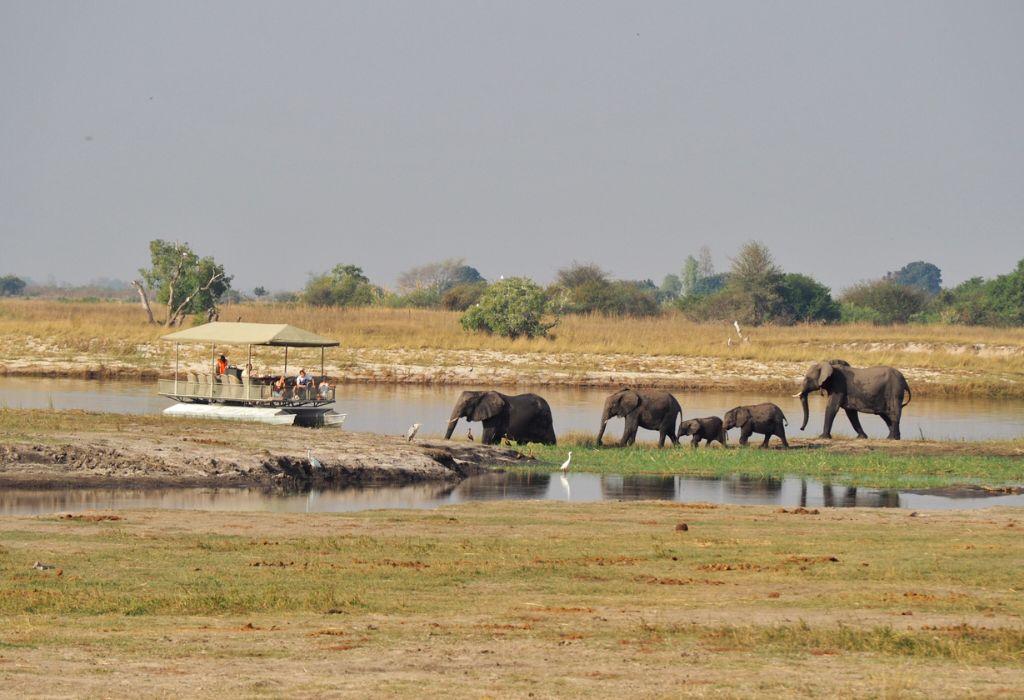 Chobe National Park Botswana