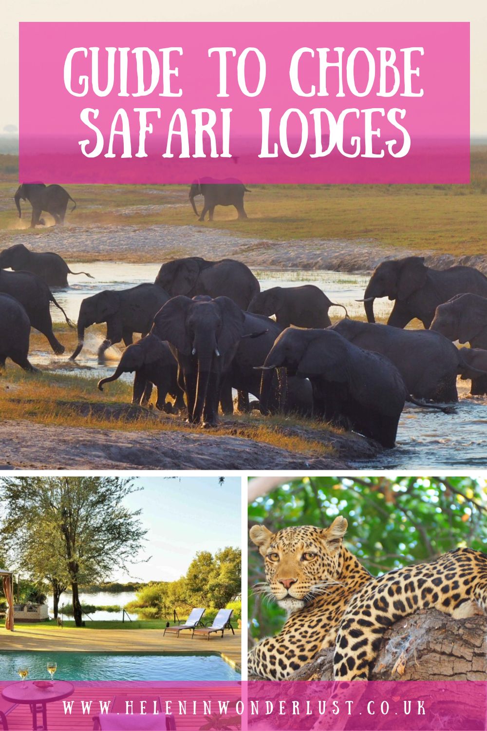 Chobe Safari Lodges