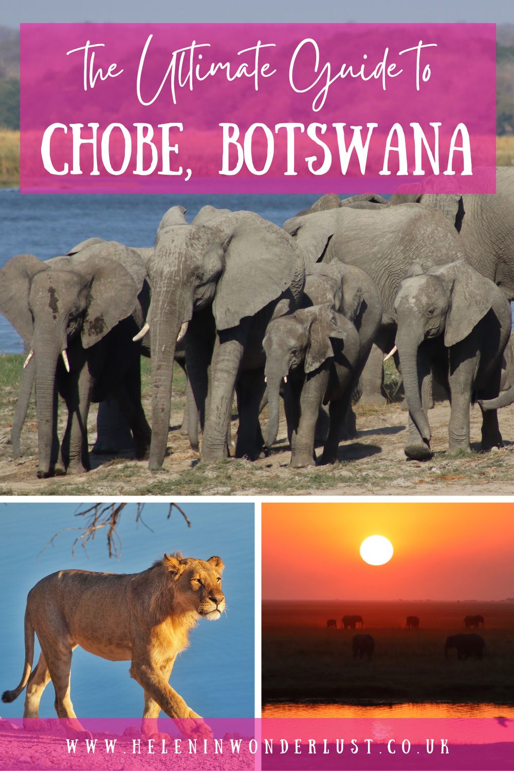 The Ultimate Guide to Chobe National Park, Botswana