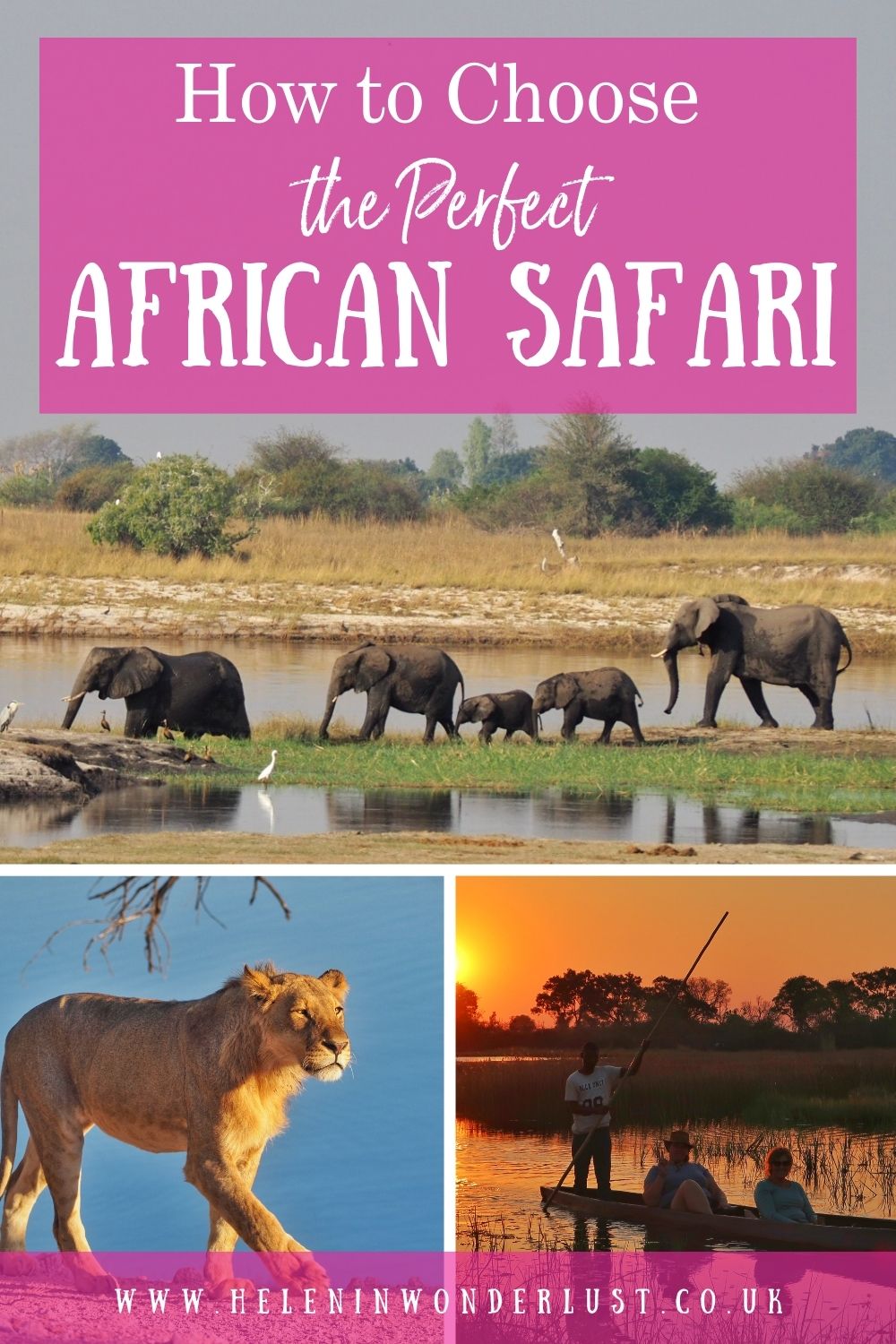 How to Choose the Perfect African Safari Destination