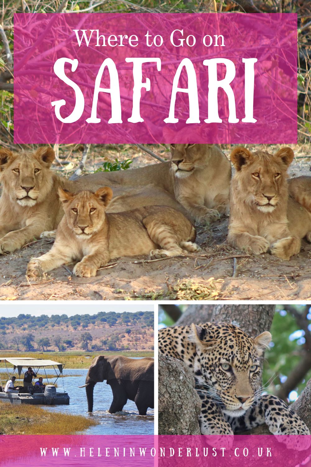 Where to Go on Safari in Africa