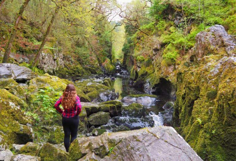 Fairy Glen Wales